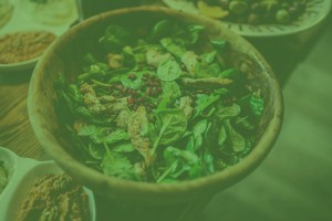 green salad stock image
